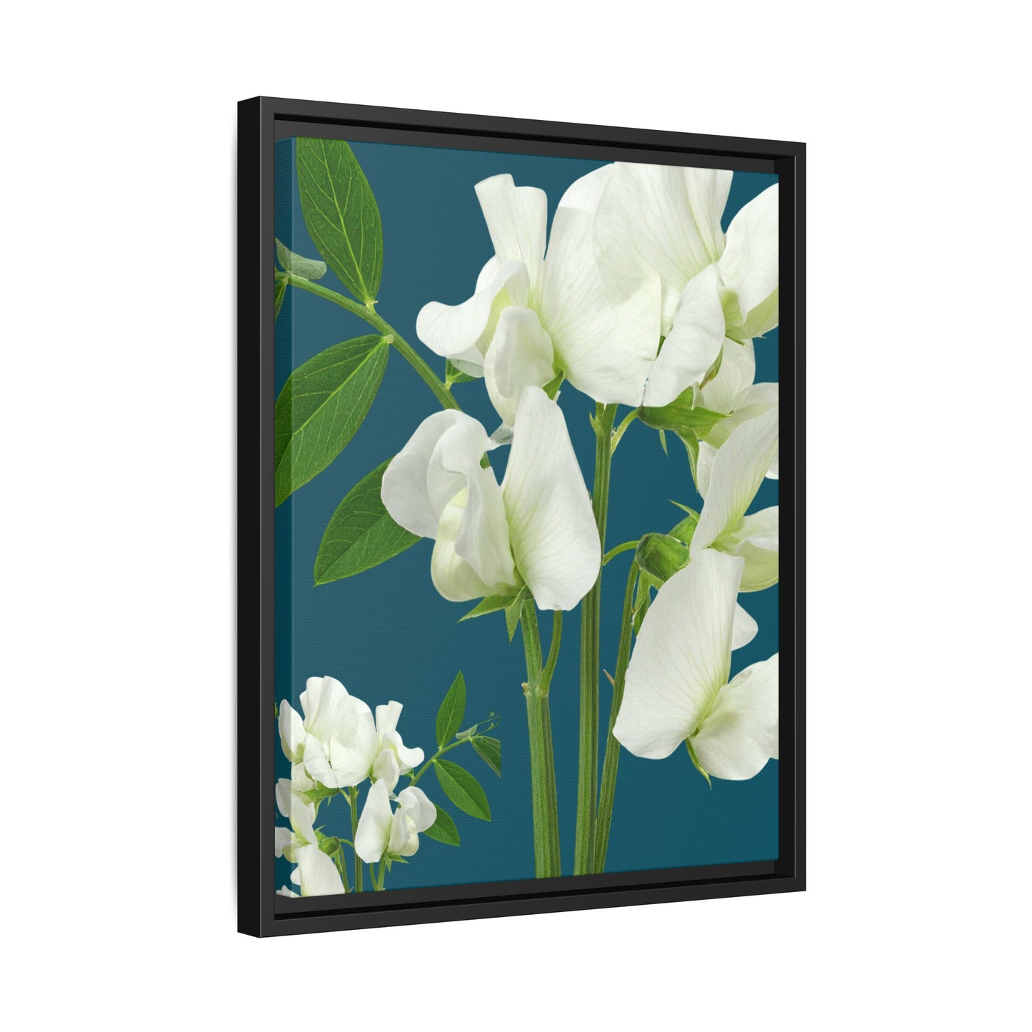 Teal Wave Matching Framed White Sweet Pea Floral Matte Canvas Print