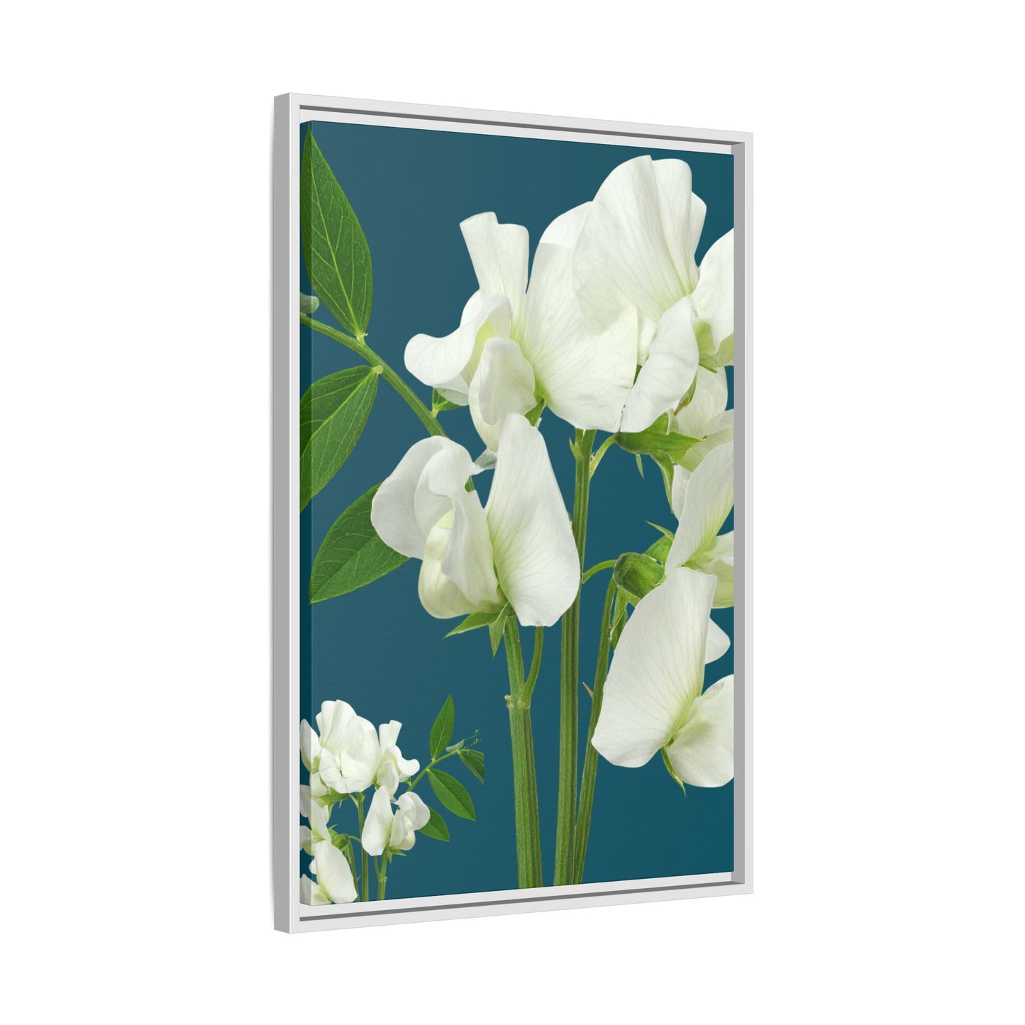 Framed White Sweet Pea Floral Matte Canvas Print