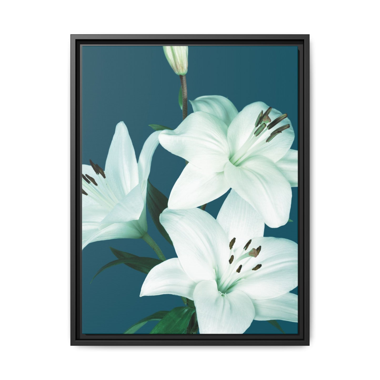 Teal Wave White Lily Botanical Framed Canvas Print