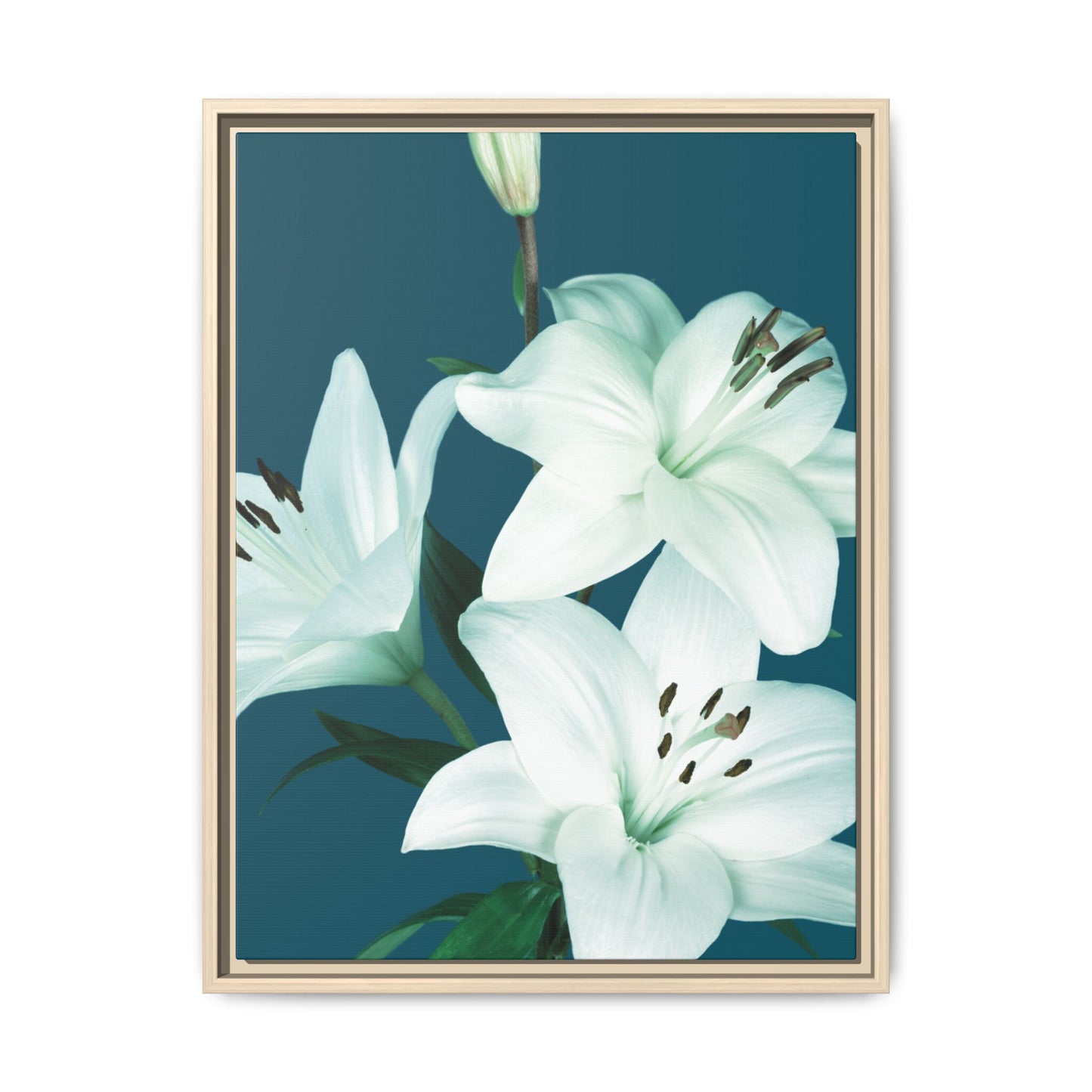 Teal Wave White Lily Botanical Framed Canvas Print