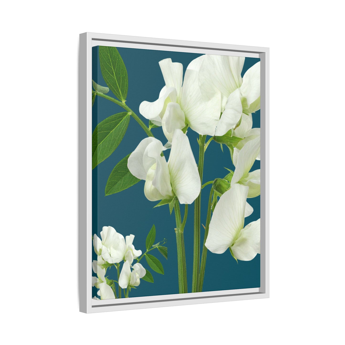 Framed White Sweet Pea Floral Matte Canvas Print