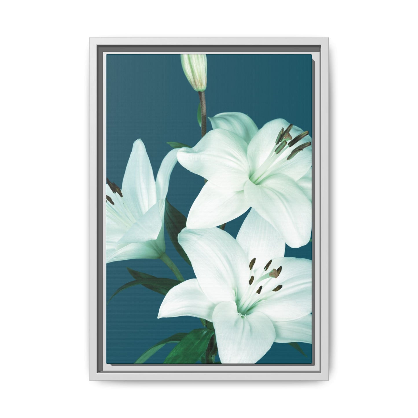 Teal Wave White Lily Botanical Framed Canvas Print