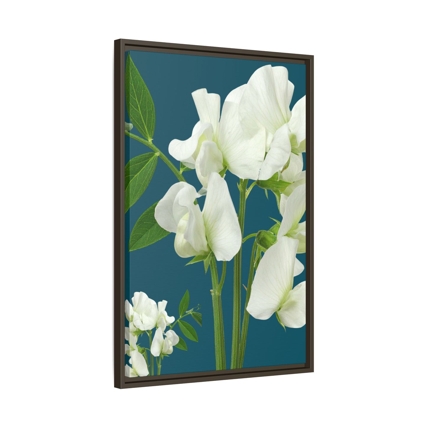 Framed White Sweet Pea Floral Matte Canvas Print