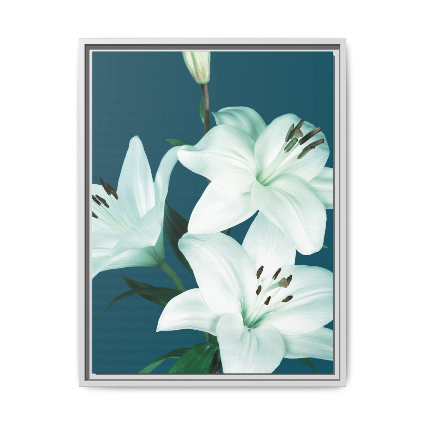 Teal Wave White Lily Botanical Framed Canvas Print