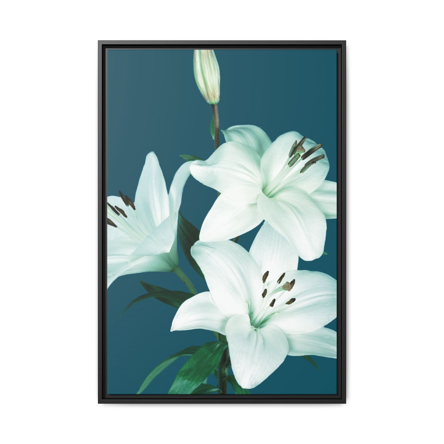 Teal Wave White Lily Botanical Framed Canvas Print