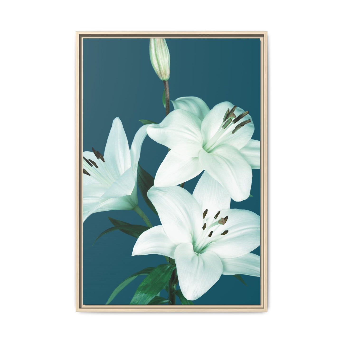 Teal Wave White Lily Botanical Framed Canvas Print