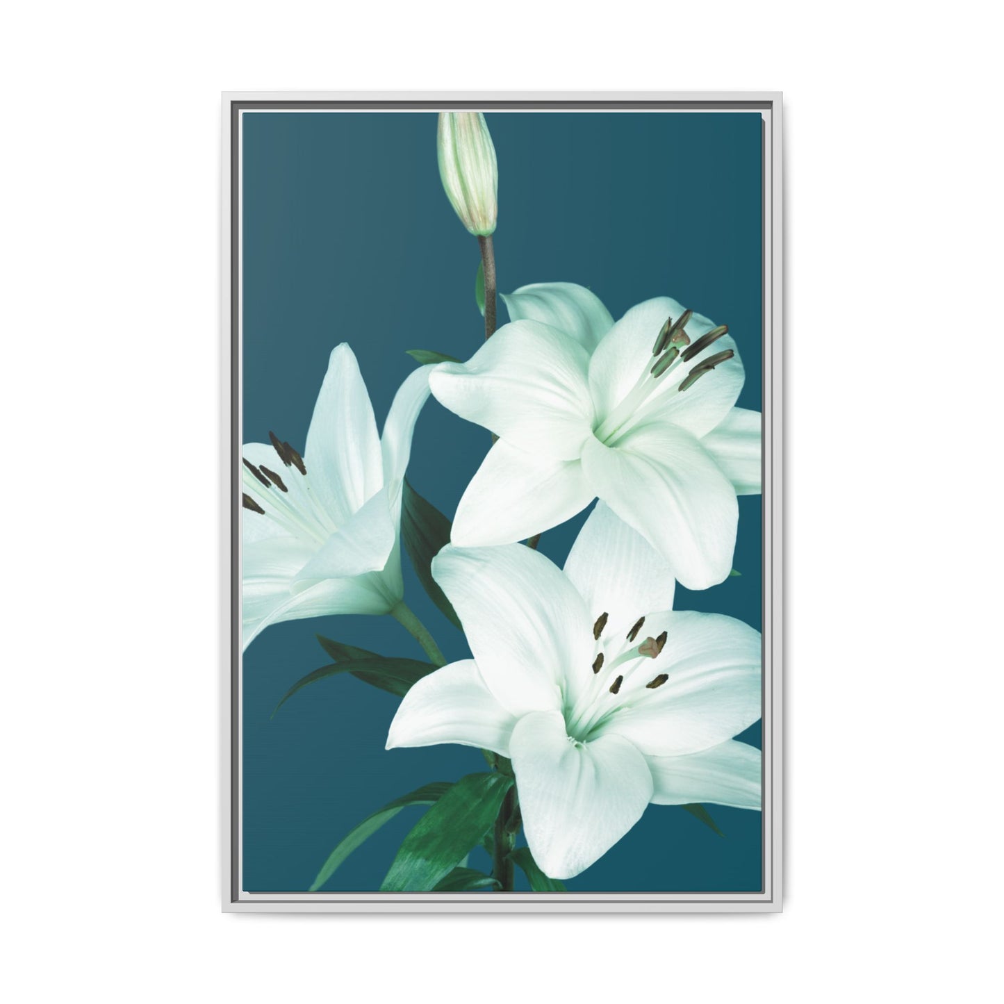Teal Wave White Lily Botanical Framed Canvas Print