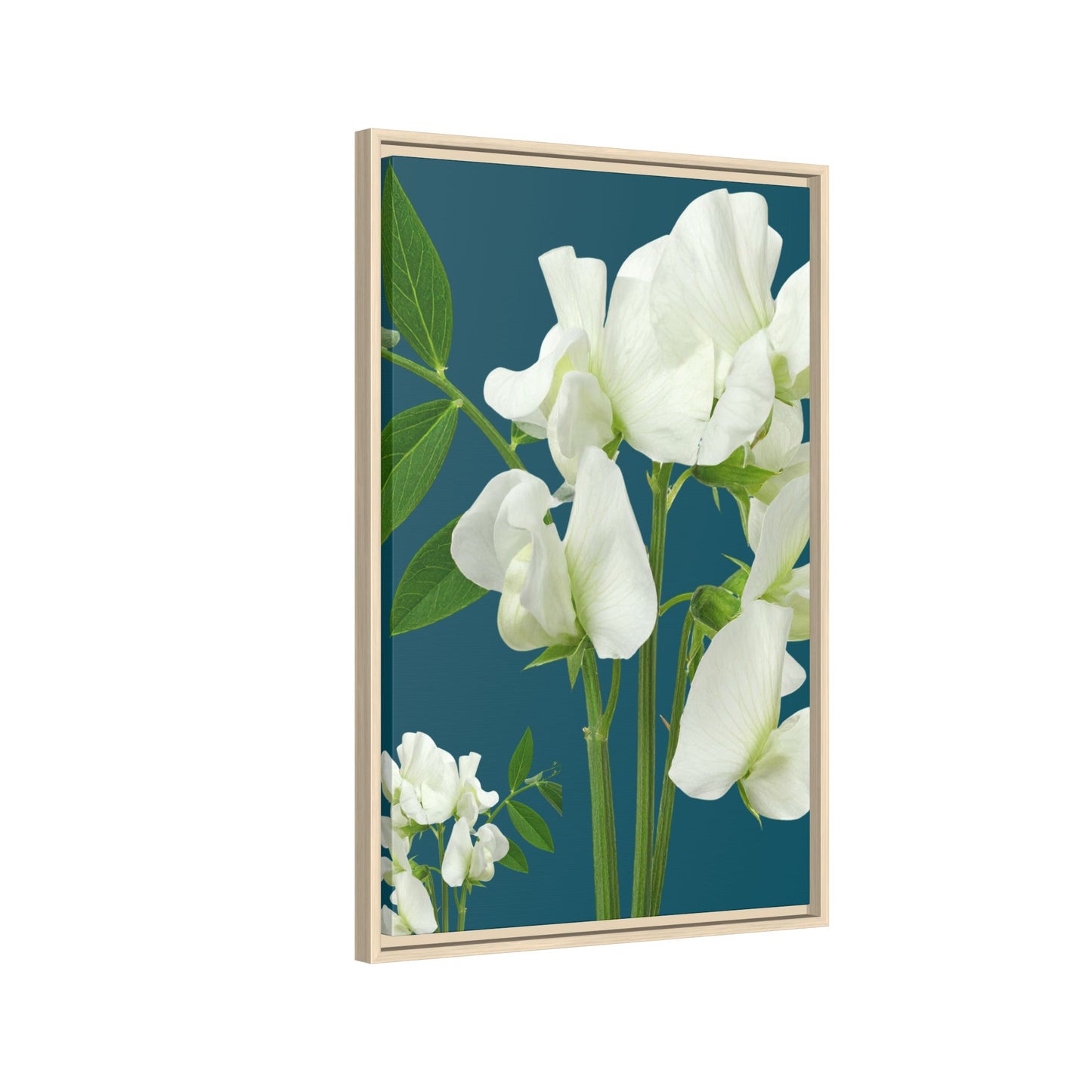 Framed White Sweet Pea Floral Matte Canvas Print