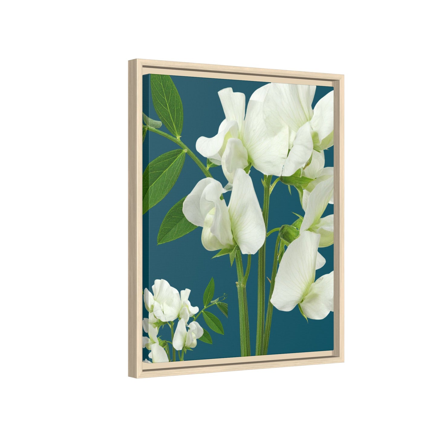 Framed White Sweet Pea Floral Matte Canvas Print